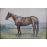 W. McDade (Irish, 20th century), Study of a horse, Watercolour on paper, Signed lower left, 36cm x
