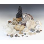 A collection of fossil, mineral and gemological specimens, to include ammonites, corals, a geode and