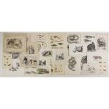 A selection of animal themed prints, the majority 19th century, to include a series of plates