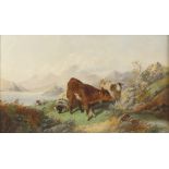 English school (19th century), A calf with sheep in a mountainous landscape, Oil on canvas,