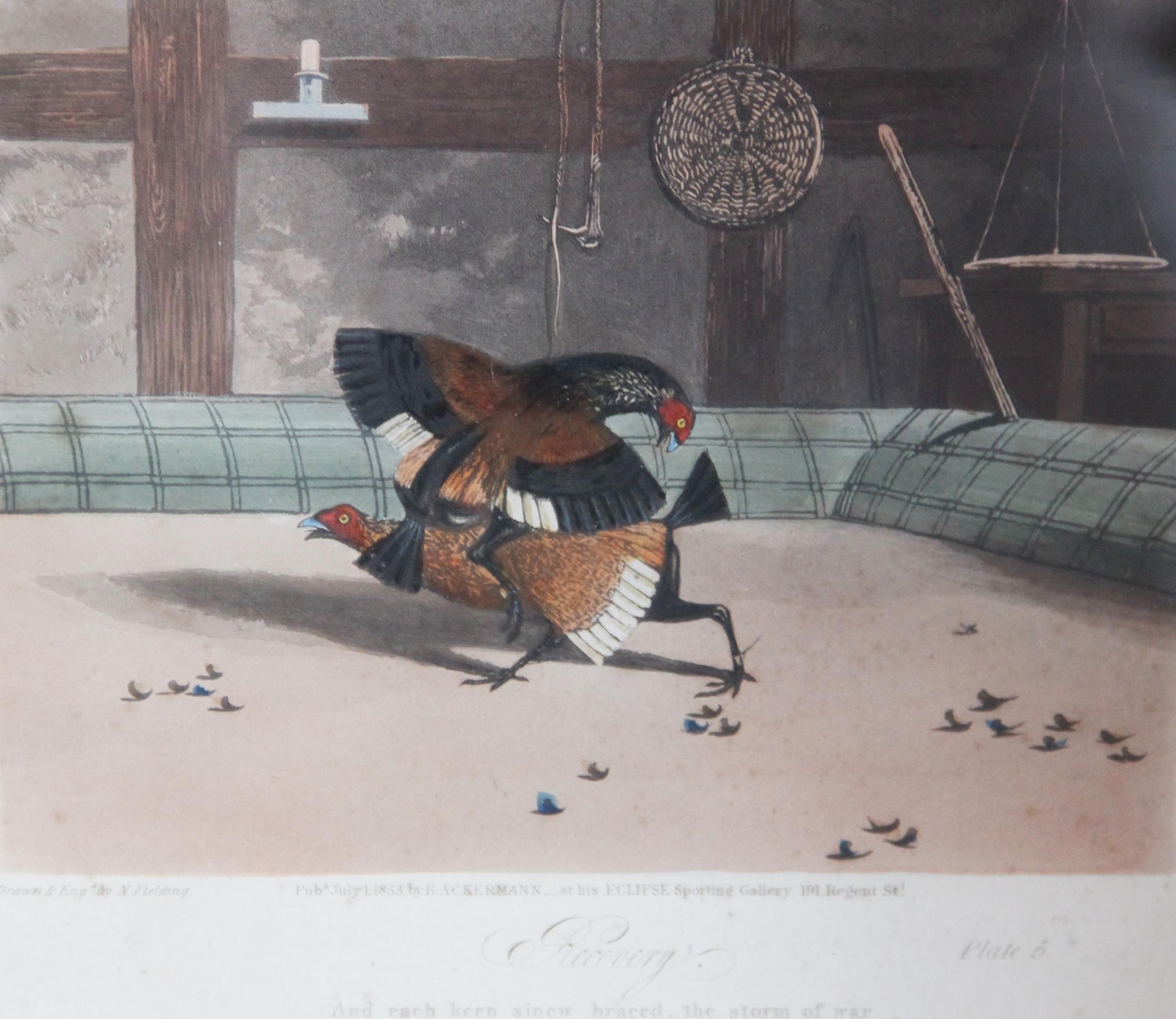 After Newton Fielding (British, 1799-1856), Six cock fighting scenes comprising: "Set Too", "Fight", - Image 2 of 8