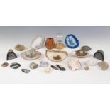 A selection of fossils and mineral specimens, to include a trilobite, 8cm long, three ammonites, the