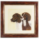 Briony Barraclough (20th century), Double portrait of two spaniels, Oil on board, Signed "Bryony