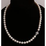 Necklace of cultured pearls with white gold