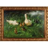 Helfferich, Duck family in tall grass