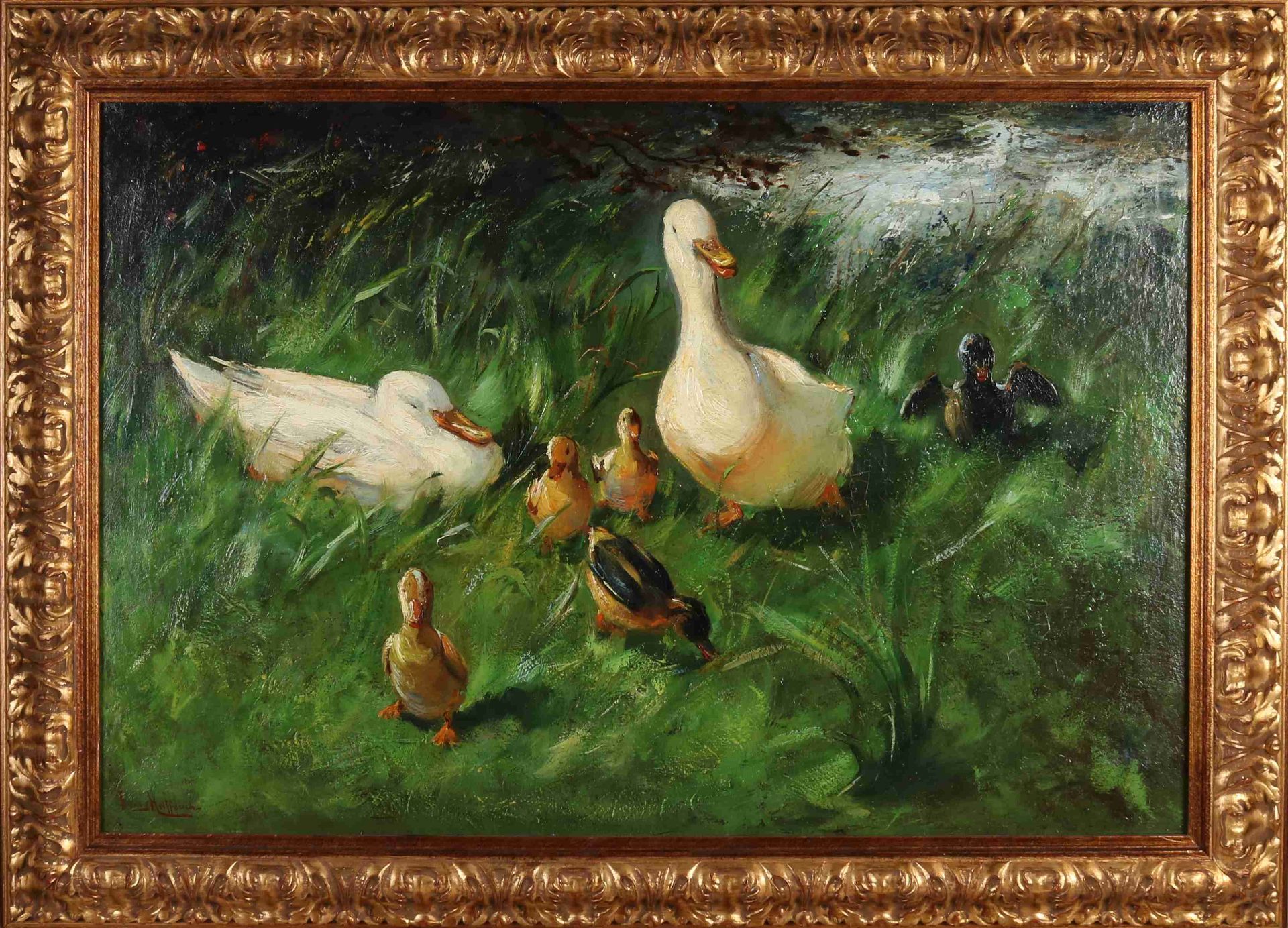 Helfferich, Duck family in tall grass