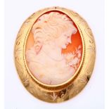 Large cameo pendant/brooch