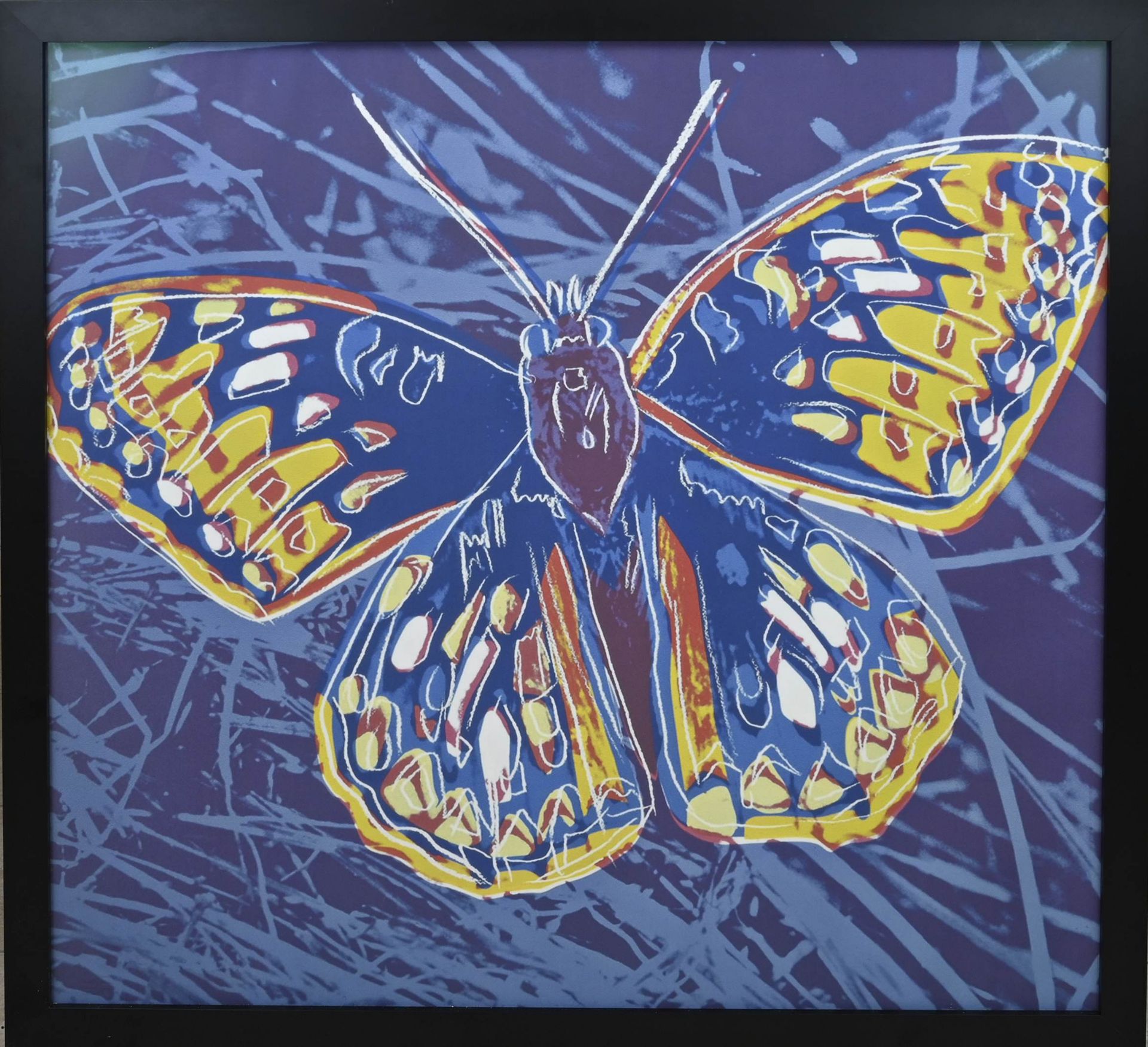Andy Warhol, Butterfly