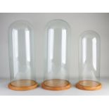 Three large glass domes, H 50 - 56 cm.