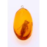 Amber pendant with wasp