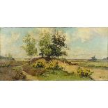 AJ Zwart, Dutch heath view