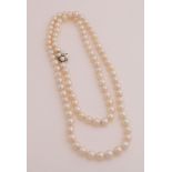 Necklace of cultured pearls with white gold.