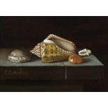 C. Cornelisz , Still life with shells