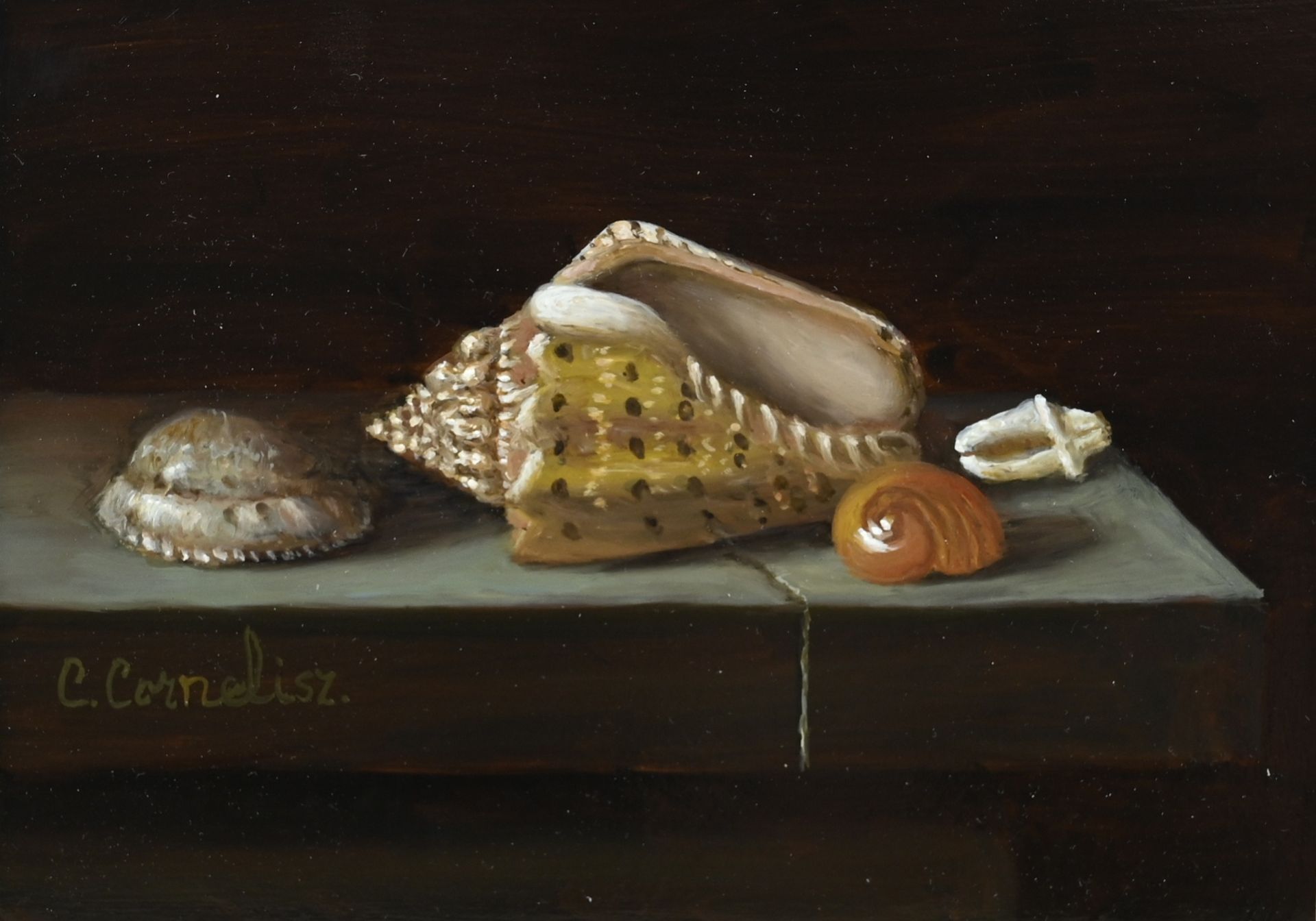 C. Cornelisz , Still life with shells