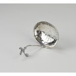 Silver sugar sprinkle spoon