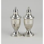 Silver salt and pepper shaker