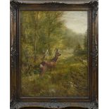 W. Lorenz, Roe deer in landscape