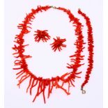 Set red coral, twigs