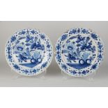 Two Delft plates Ø 22.7 cm.