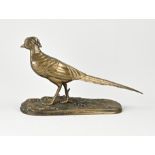 Bronze Golden Pheasant, 1925