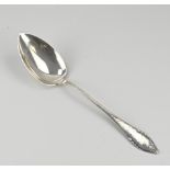 silver spoon