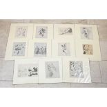 Collection of 11 anatomical studies