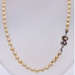 Pearl necklace with white gold lock