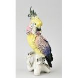 Antique porcelain parrot, H 28 cm.