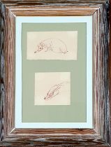 Norman Orr (Scottish glass engraver) sketches of hedgehog and badger, framed with label to reverse