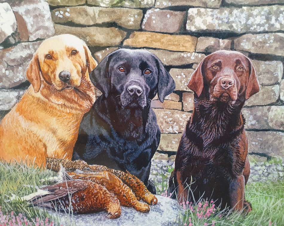Jason Lowes - Original Watercolour of Three Labradors By A Wall, Signed, Framed and Glazed. - Image 2 of 4