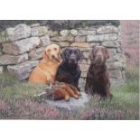 Jason Lowes - Original Watercolour of Three Labradors By A Wall, Signed, Framed and Glazed.
