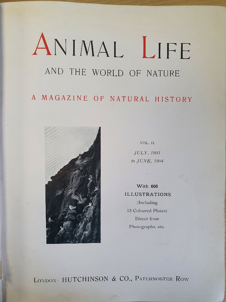 Animal Life and the World of Nature, Volume 2. - Image 2 of 2