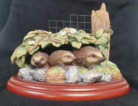 Border Fine Arts Hedgehog Figurine titled Undercover (Hedgehog Family)