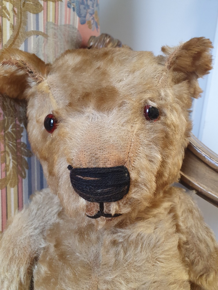 Edwardian Growler Teddy Bear - Image 3 of 3