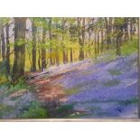 Venus Griffiths Framed and Signed Oil of Bluebell Wood, measures 12 inches x 10 inches