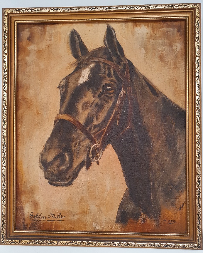 Framed Oil on Board of Golden Miller by M Wood