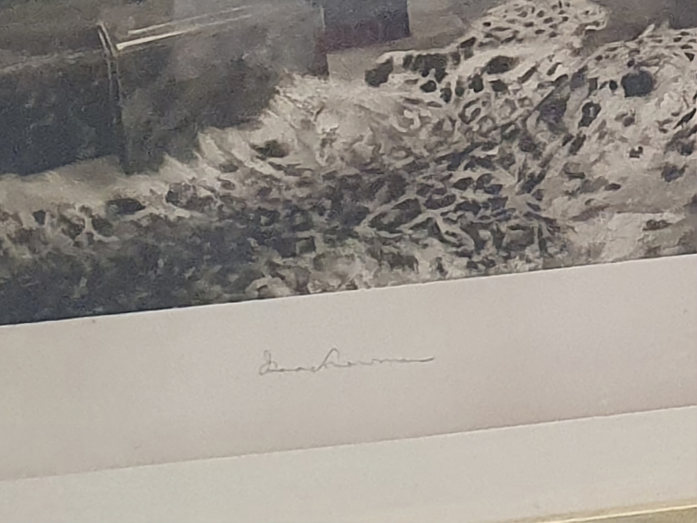 Isaac Snowman Signed, Framed and Glazed Print titled "The Leopard Skin" - Image 3 of 3