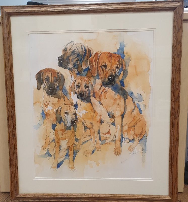Framed and Glazed Watercolour of Rhodesian Ridgebacks Signed and Dated 06 - Image 2 of 3