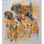 Framed and Glazed Watercolour of Rhodesian Ridgebacks