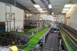 VEGETABLE WASHING AND GRADING PLANT