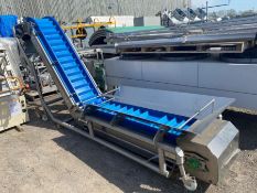 SYSPAL FLIGHTED INCLINE CONVEYOR