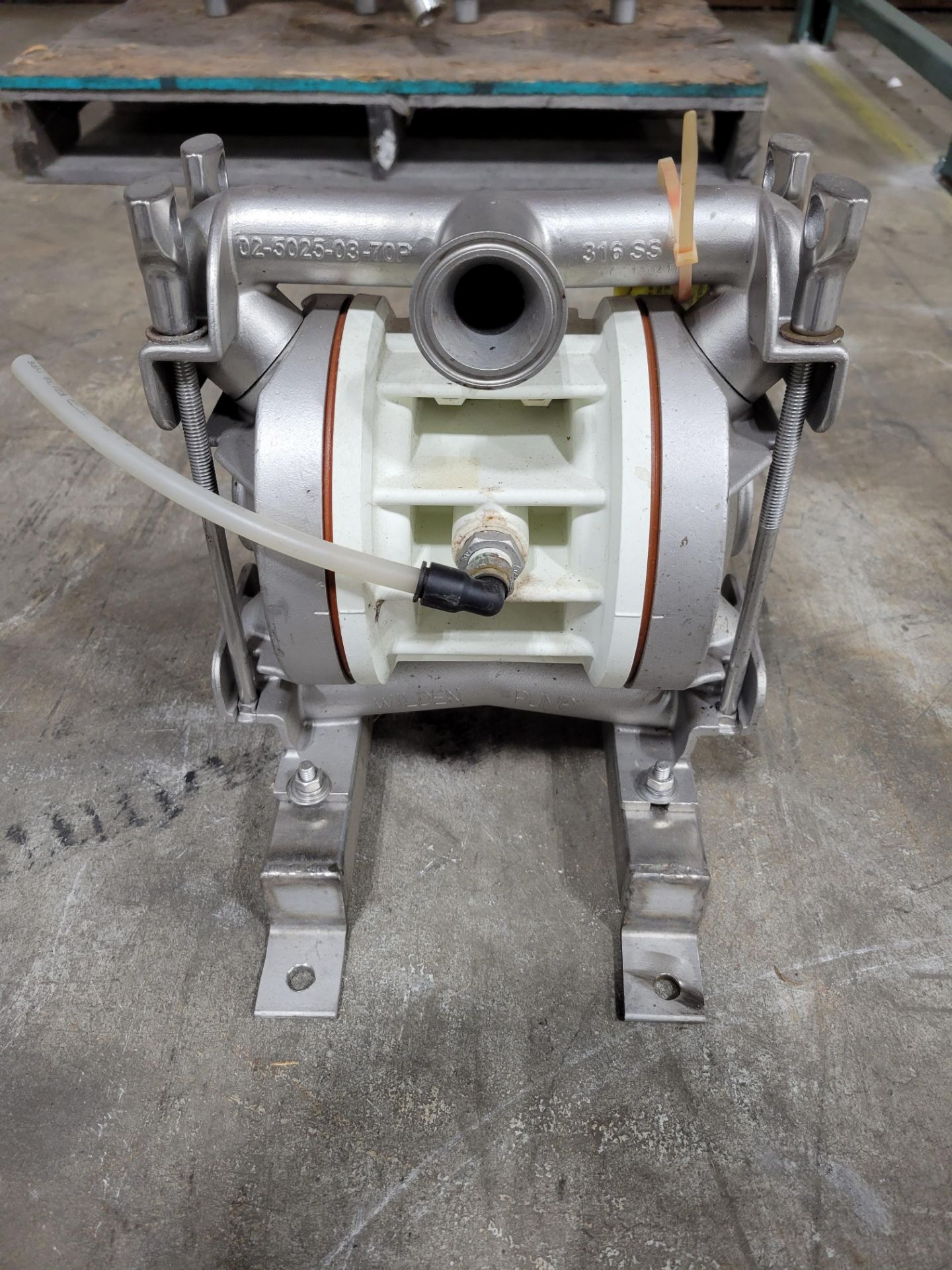 Wilden Diaphragm Pump