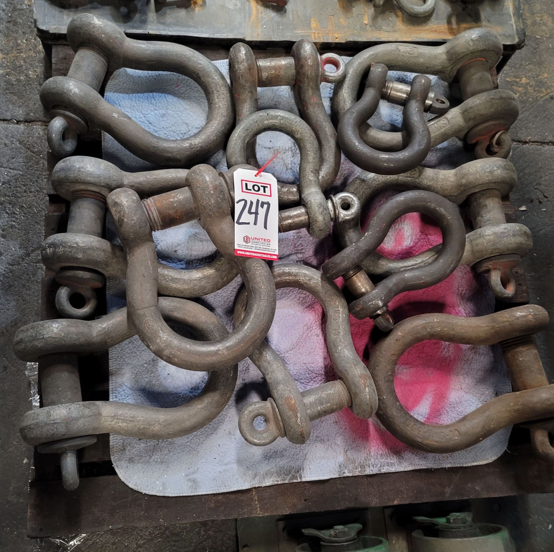 LOT - (12) LARGE SHACKLES