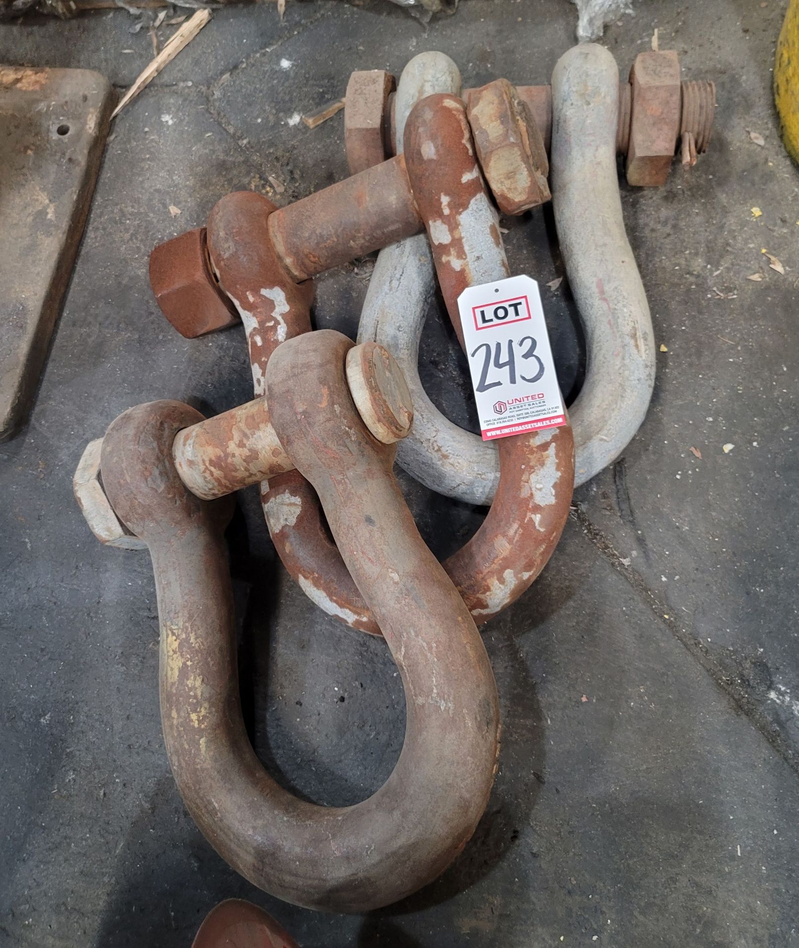 LOT - (3) LARGE SHACKLES