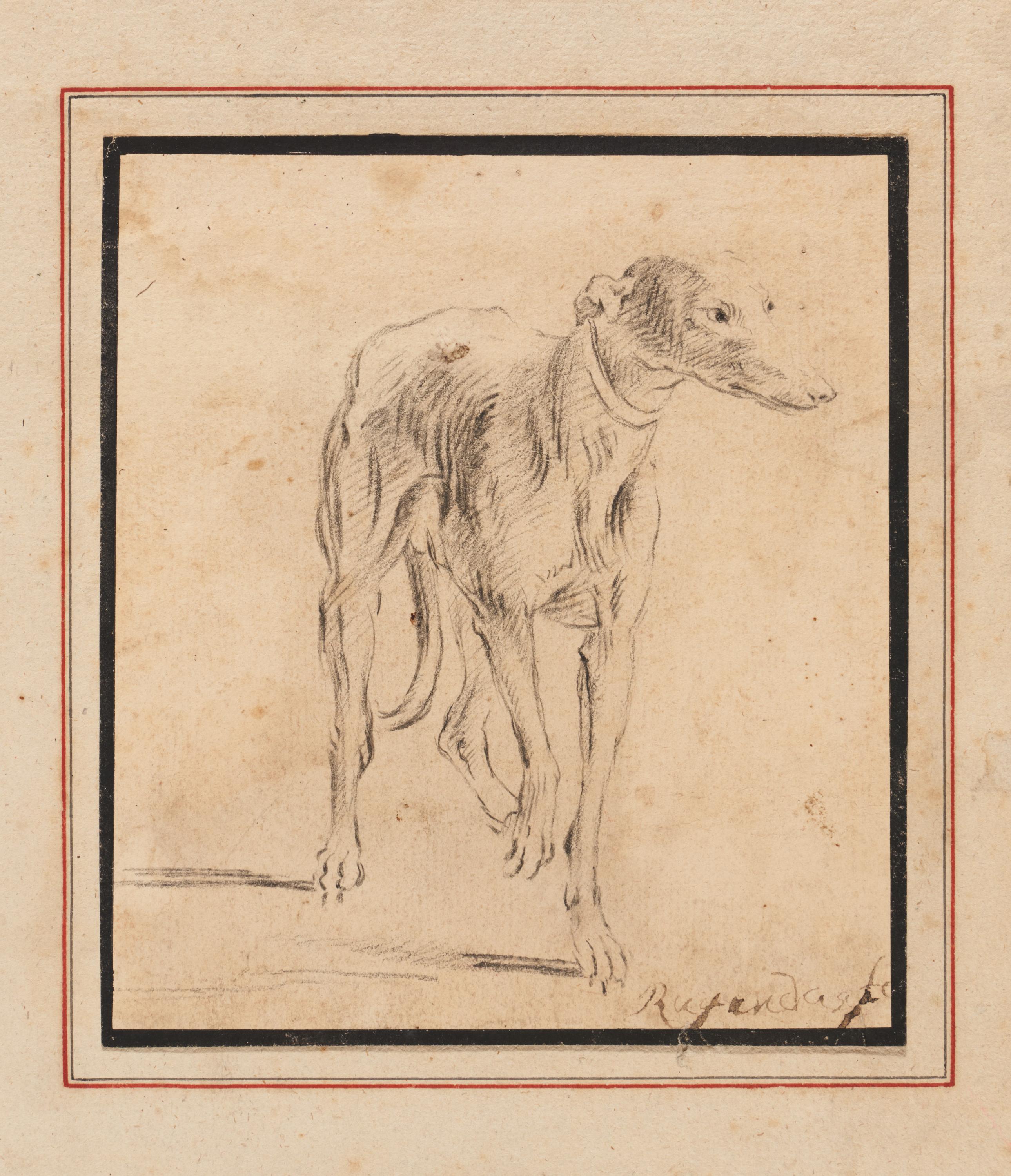 Georg Phillip Rugendas: Windhund