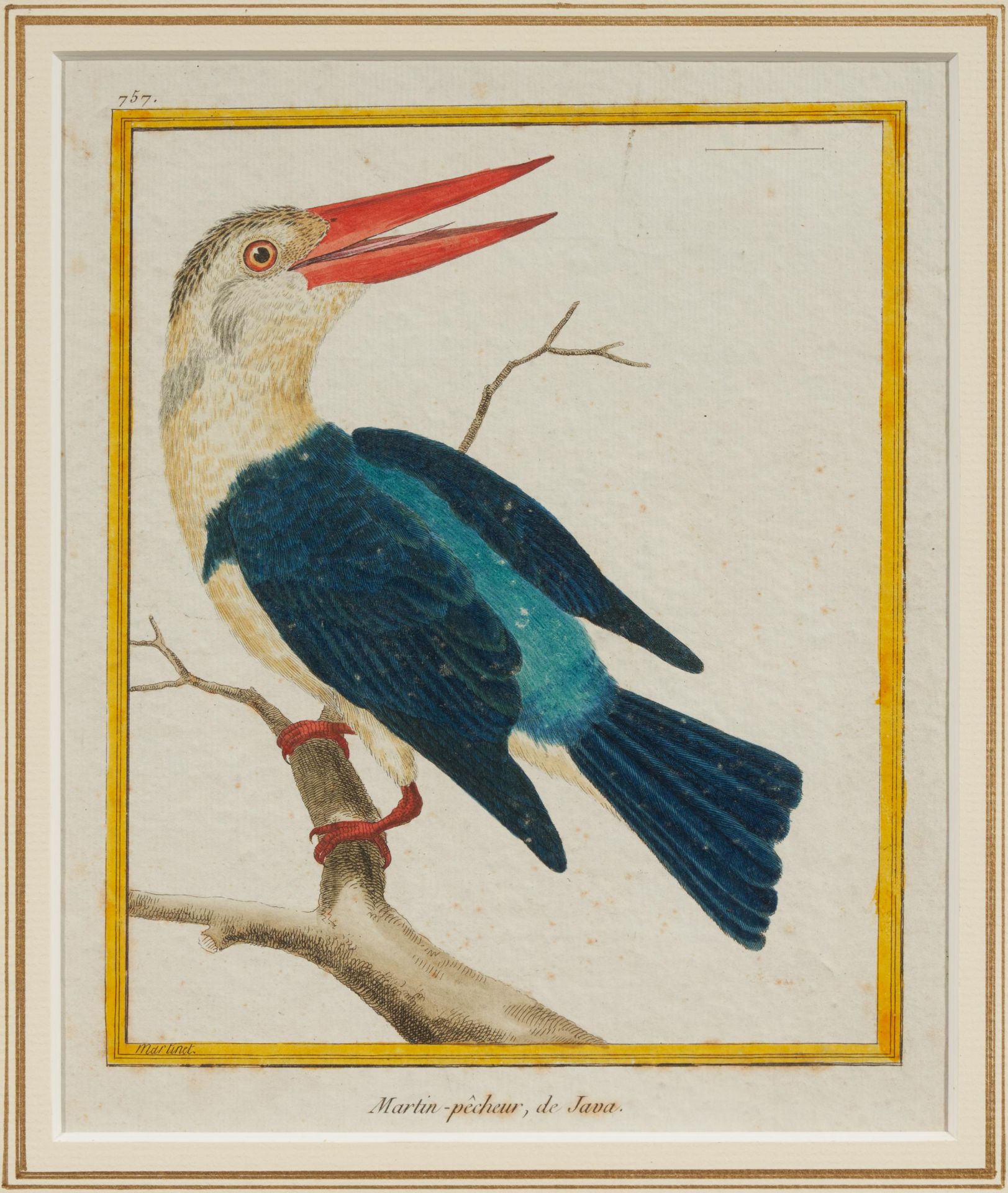 Francois Nicolas Martinet: Folge von vier Vogeldarstellungen - Image 11 of 13