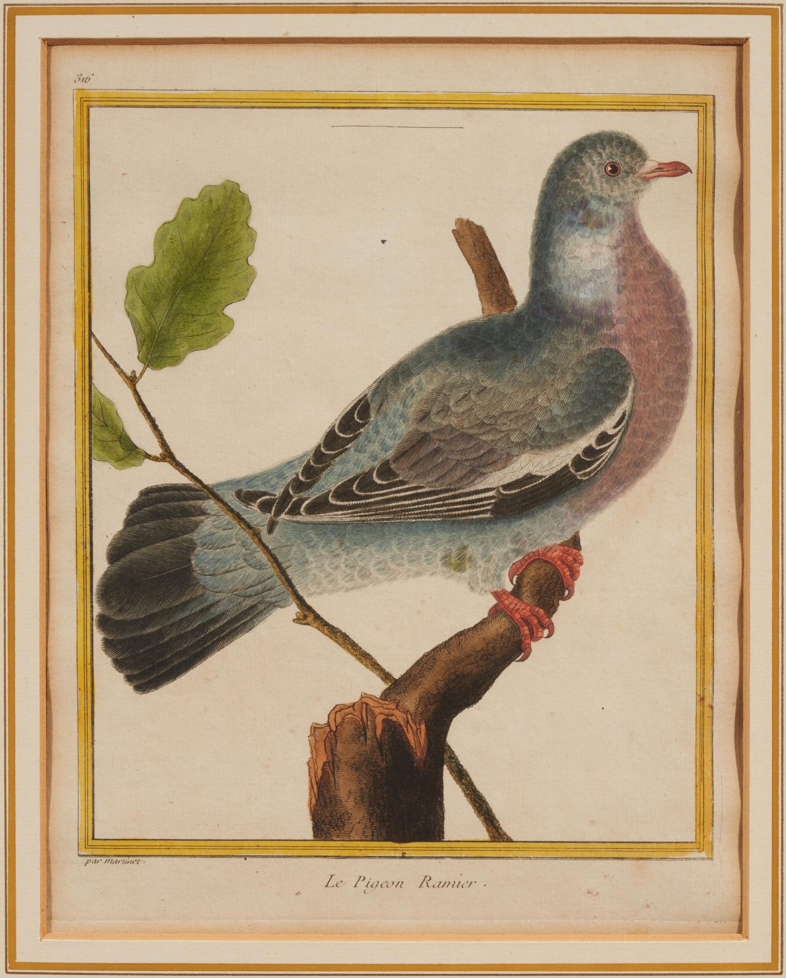 Francois Nicolas Martinet: Folge von vier Vogeldarstellungen - Image 5 of 13