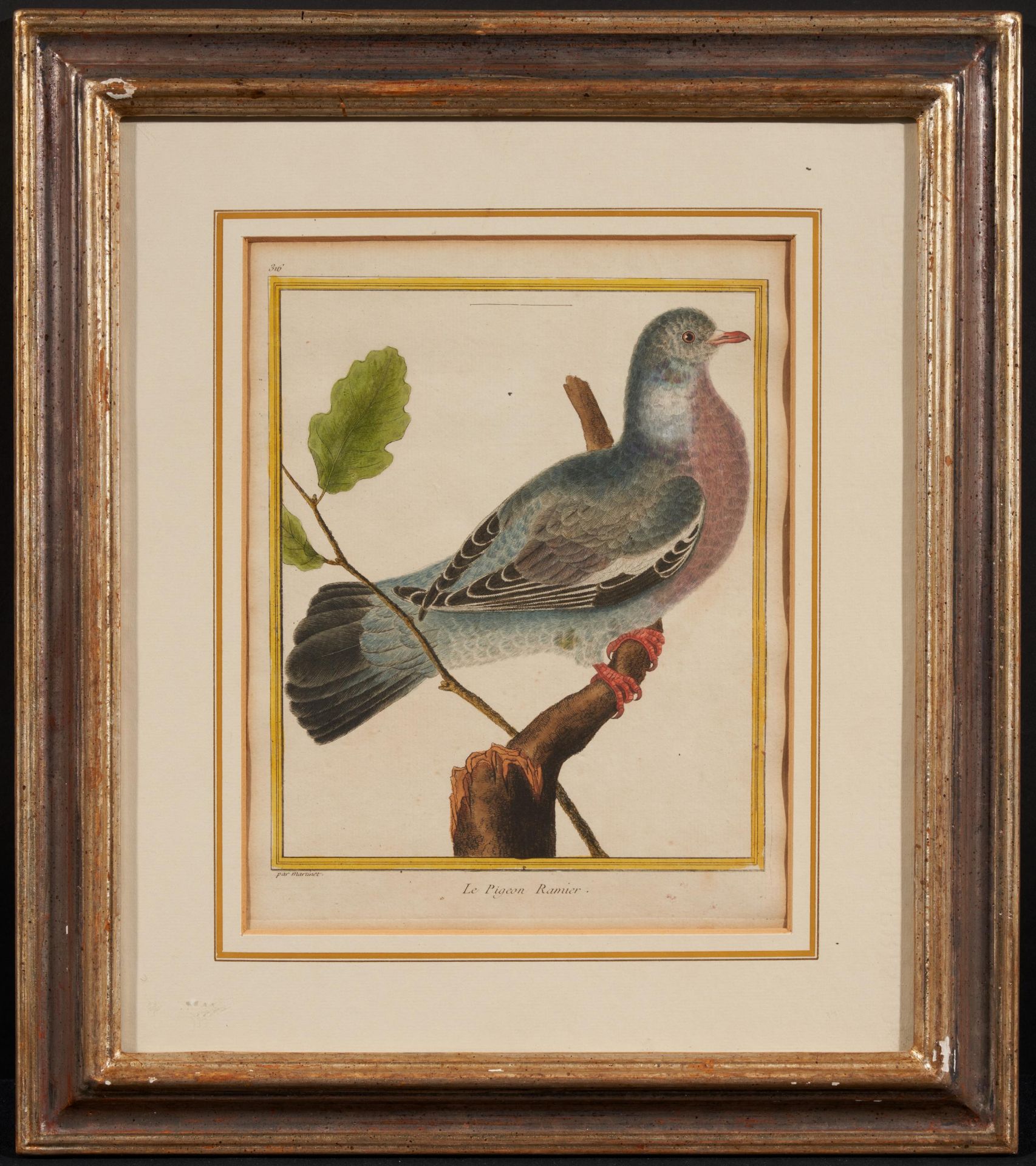 Francois Nicolas Martinet: Folge von vier Vogeldarstellungen - Image 6 of 13