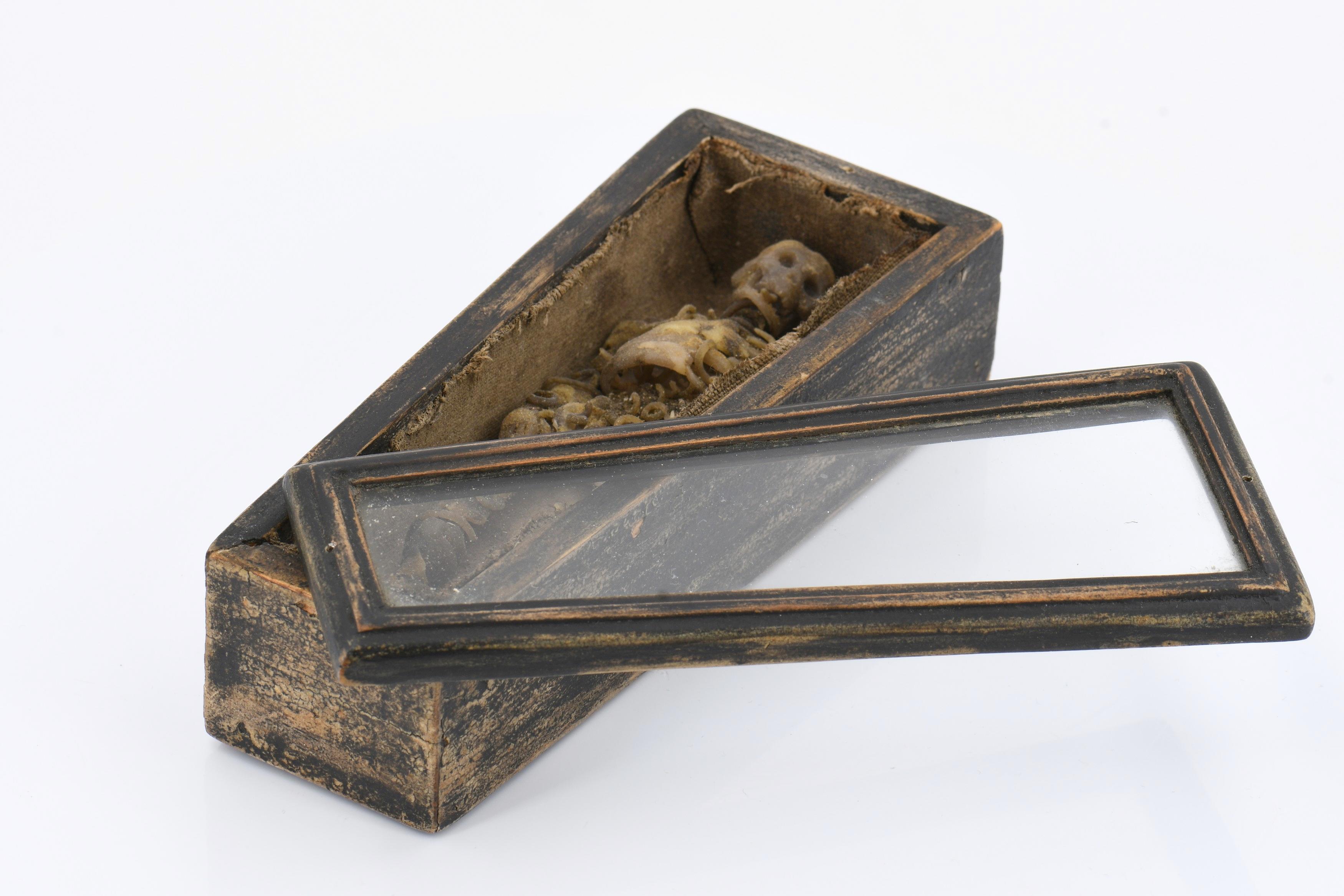 'Tödlein' in a glass coffin casket - Image 2 of 4
