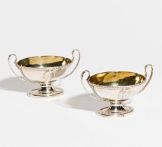 Pair of footed Victoria salt cellars with medallions
